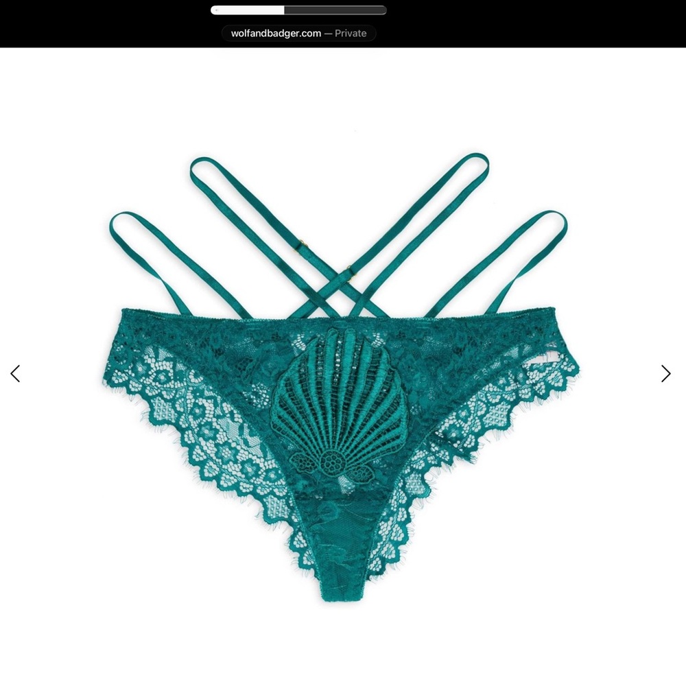 Empress Mimi Elegant Venus Brazilian Lace Teal Panties-NWT